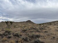 Goldfield Summit