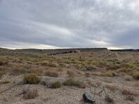 Goldfield