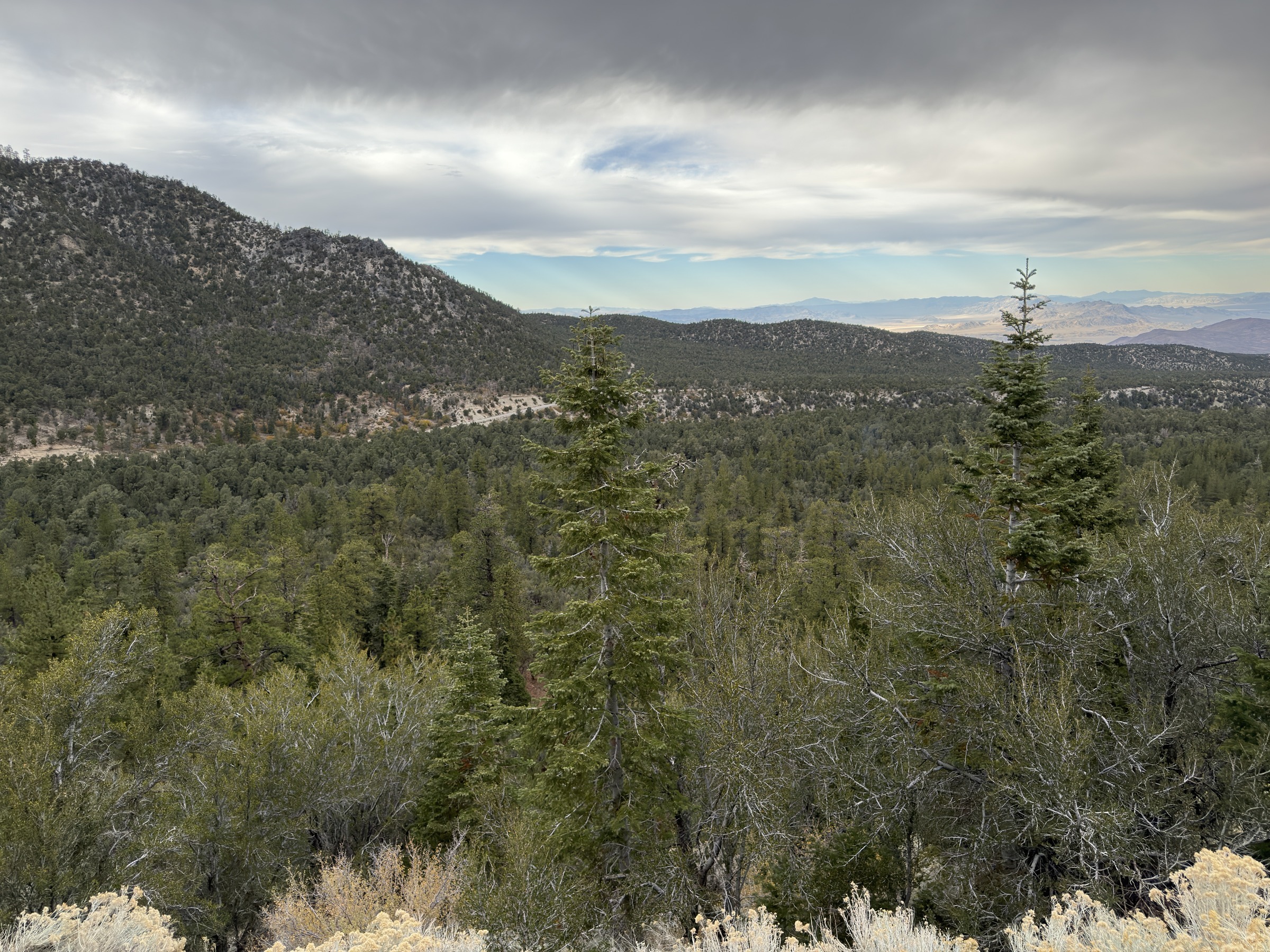 An Afternoon at Mummy Mountain, Looking Northwest