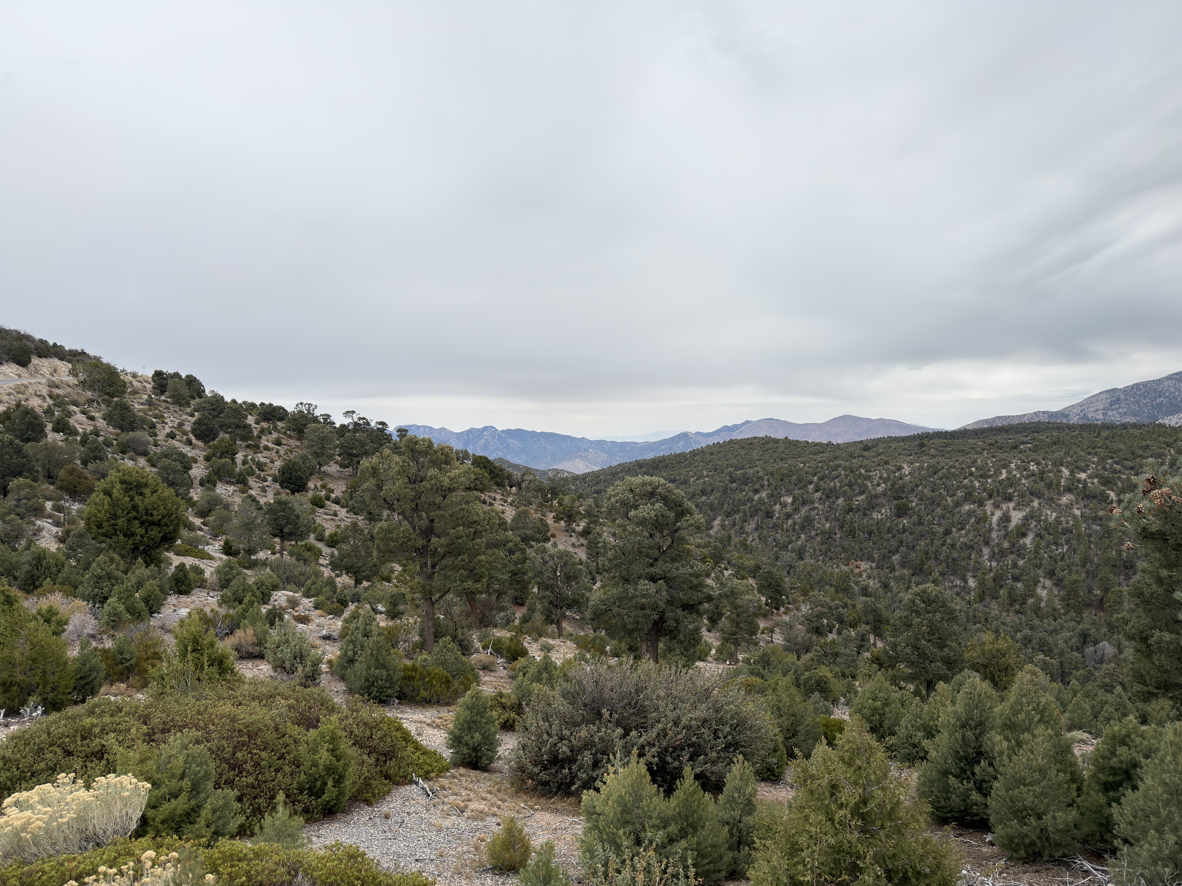 An Afternoon at Fletcher Peak, Looking Southeast