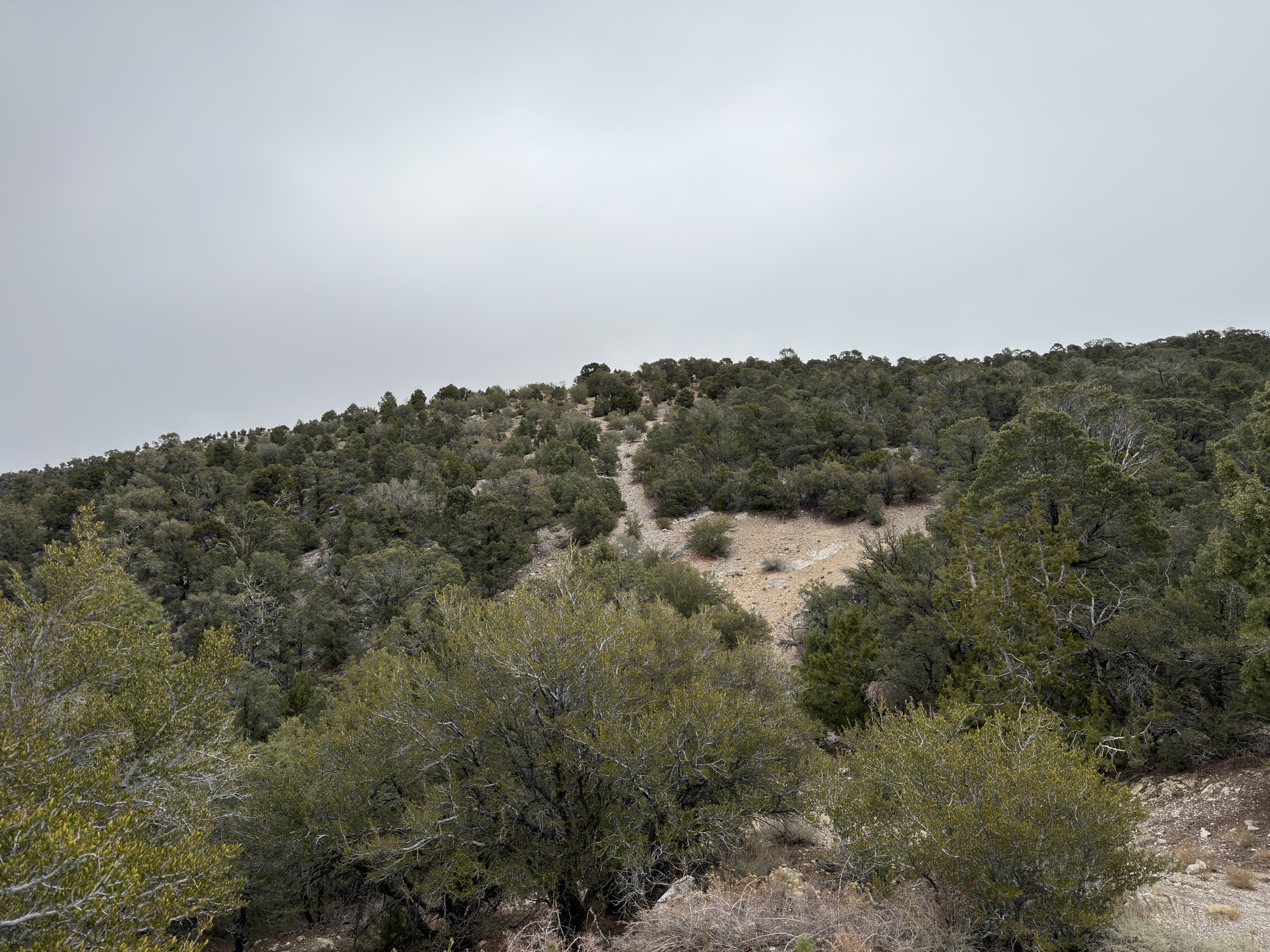 An Afternoon at Fletcher Peak, Looking Northeast