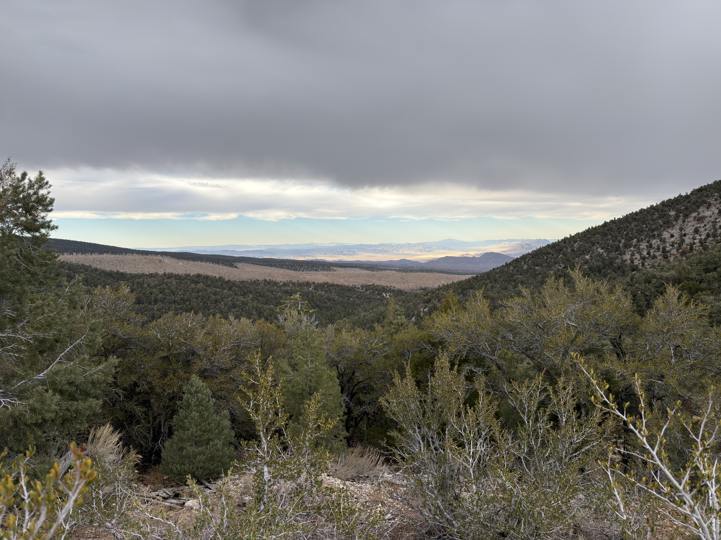 An Afternoon at Fletcher Peak, Looking Northwest