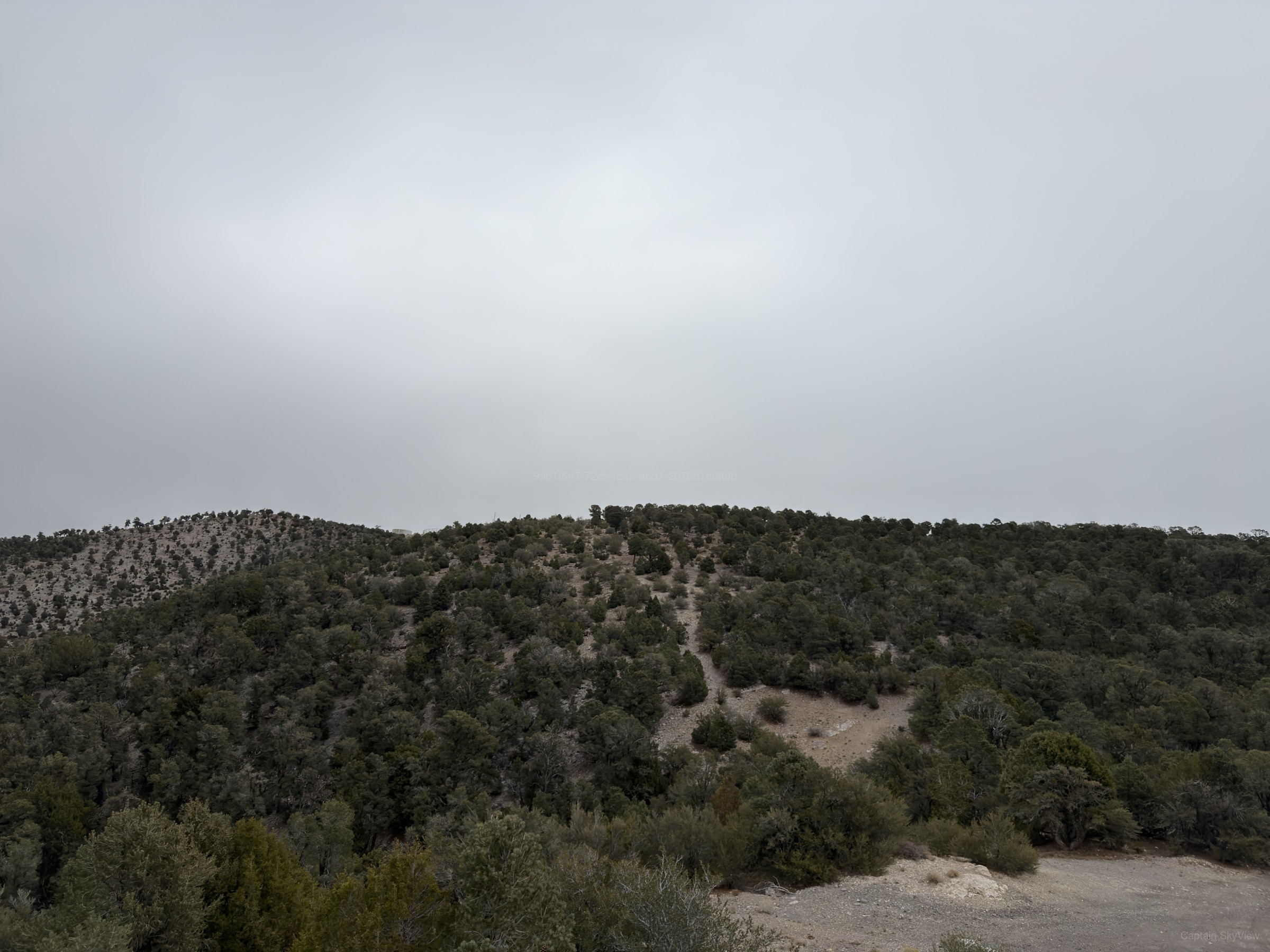 An Afternoon at Fletcher Peak, Looking Northeast