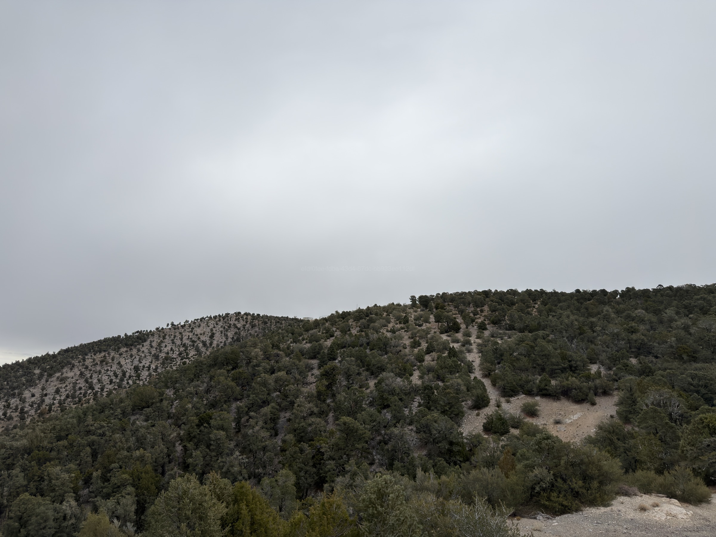 An Afternoon at Fletcher Peak, Looking Northeast